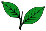All India Anna Dravida Munnetra Kazhagam logo