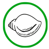 Biju Janata Dal logo