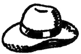 Zoram People's Movement logo